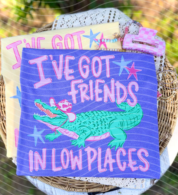 I've Got Friends in Low Places Graphic Tee product image 1