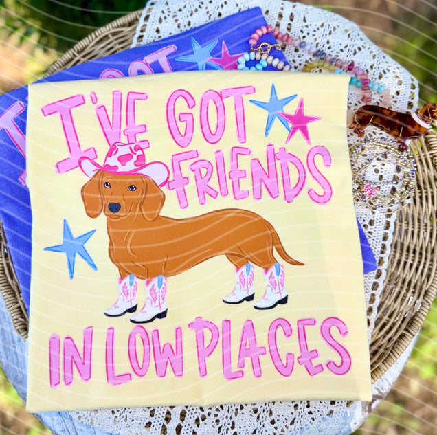 I've Got Friends in Low Places Graphic Tee product image 1